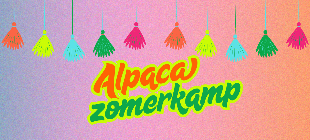 Alpaca Zomer KAMP JULI