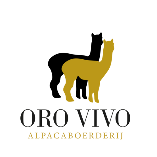 Alpaca Oro Vivo