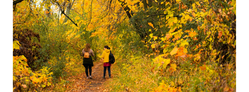 Sfeervolle Herfstwandeling