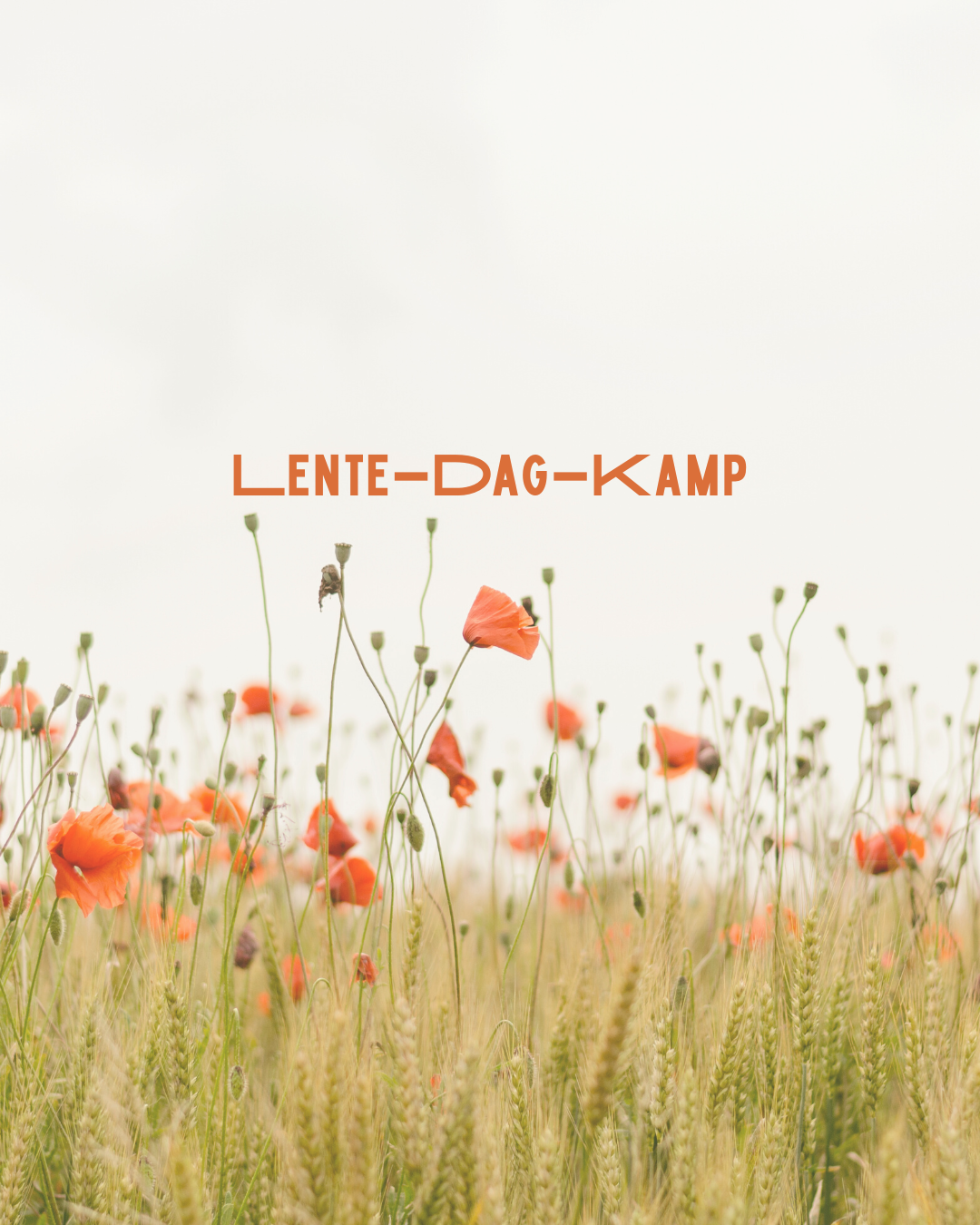 Lente-Dag-Kamp